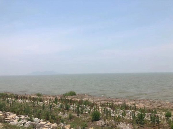 深圳民事律師事務所來講講禁止反言原則在民事訴訟的法律依據