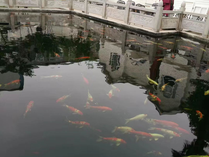 爸爸要起訴女兒轉移遺產怎么辦？深圳遺產繼承律師是這樣說的...