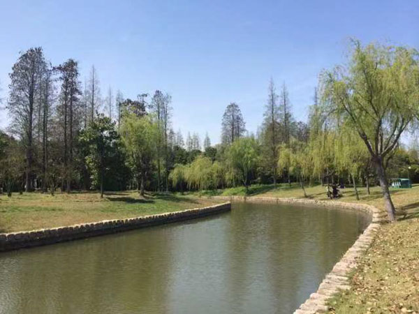 深圳房地產(chǎn)律師以案析法：房產(chǎn)證不同名字下的房產(chǎn)分割
