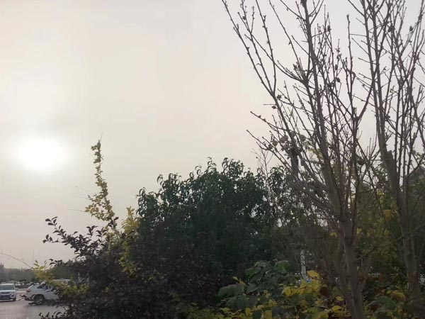 深圳著名的律師來(lái)講講掛靠車(chē)輛發(fā)生交通事故責(zé)任應(yīng)該由誰(shuí)承擔(dān)
