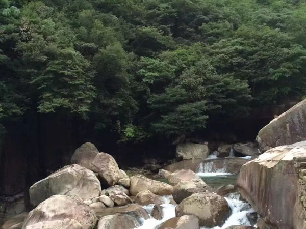 行政訴訟流程：深圳法律咨詢網來講講如何保護你的合法權益