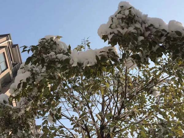協議離婚和訴訟離婚到底哪個好？深圳律師事務所幫你做選擇
